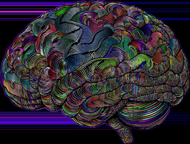情绪低落兴趣全无，这些信号别忽视